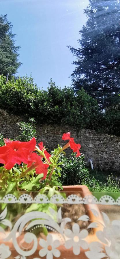 לוקה La Maison De Jardin מראה חיצוני תמונה