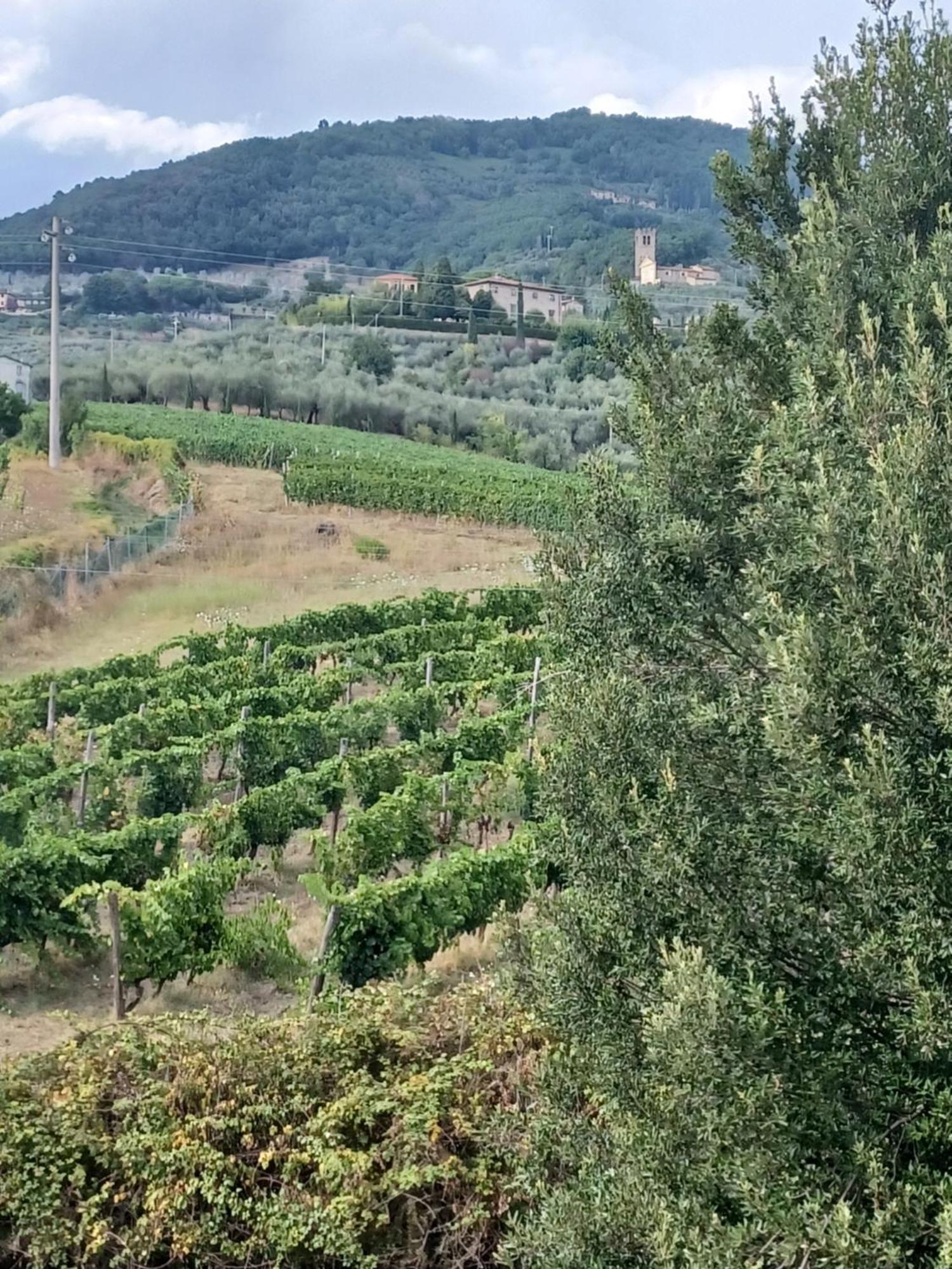 לוקה La Maison De Jardin מראה חיצוני תמונה