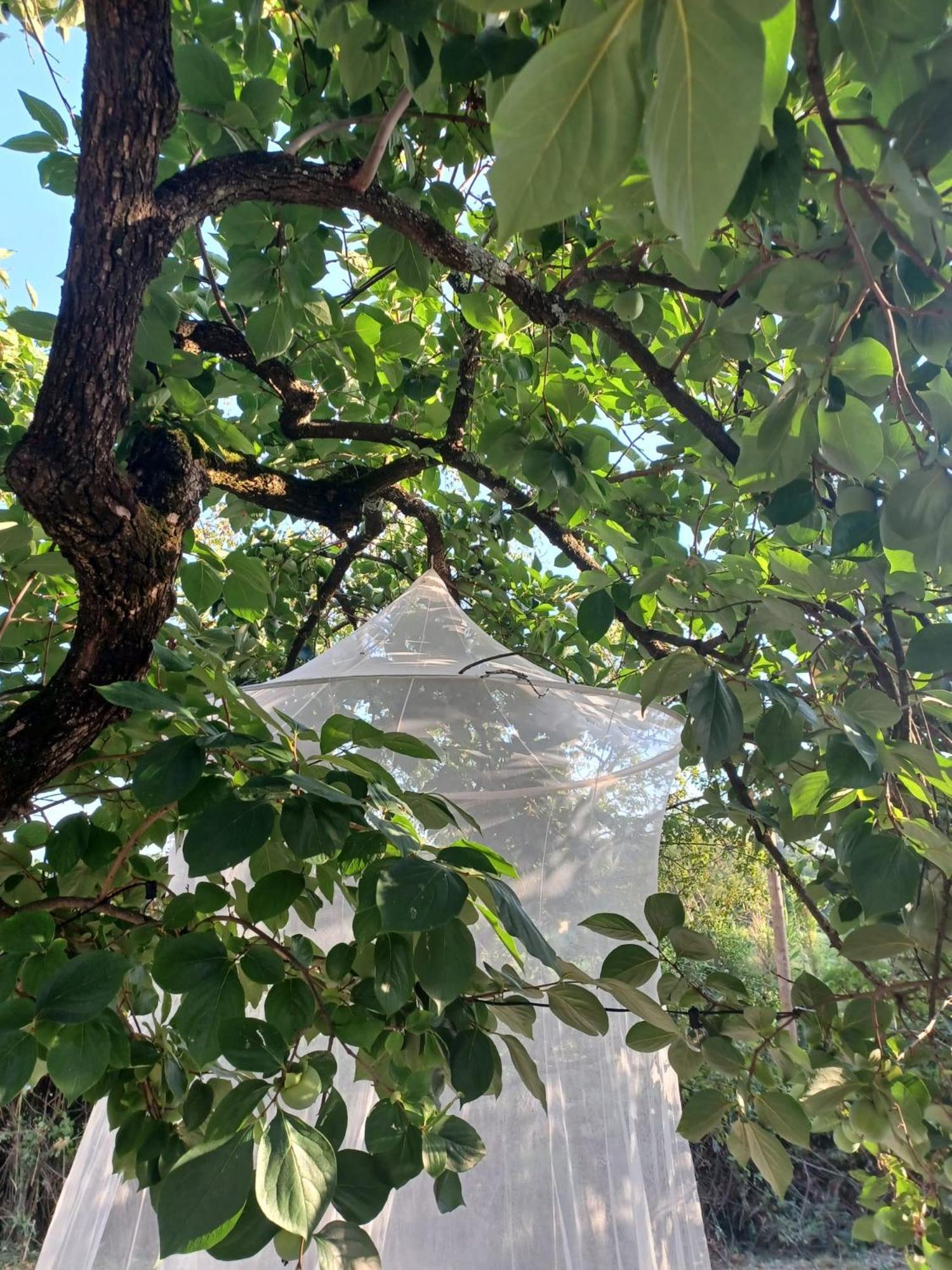 לוקה La Maison De Jardin מראה חיצוני תמונה