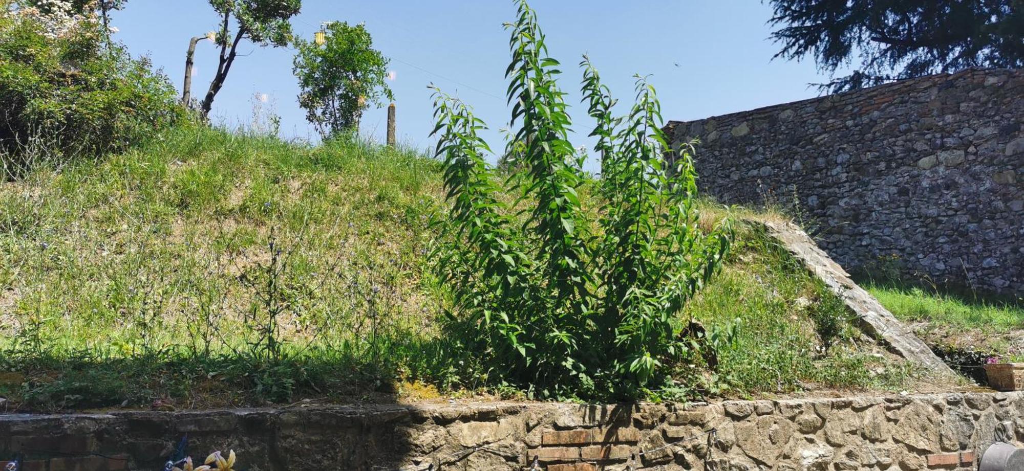 לוקה La Maison De Jardin מראה חיצוני תמונה